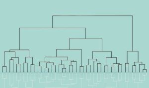 BMC_series's tweet image. Call for papers!📢
#BMCBioInformatics welcomes submissions to its new Collection on 'Eukaryotic phylogenetics. Guest Edited by Jijun Tang and Dapeng Wang. To find out more, please visit biomedcentral.com/collections/EPG