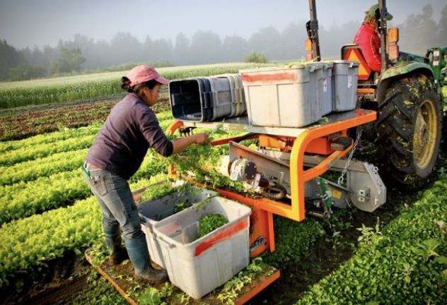 As we #supportlocal, let’s get to know VEDA borrower Pete’s Greens.

When a fire devastated Pete’s farm in 2011, financing from VEDA made the construction of new processing facility possible. Pete’s Greens aims to support the health of Vermonters for years to come.