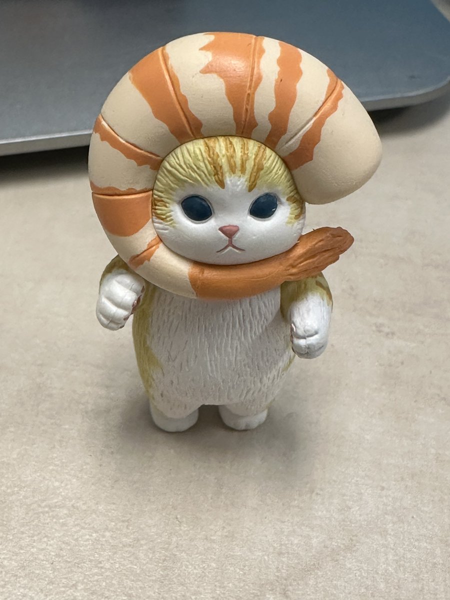 Krista Ann tweet media