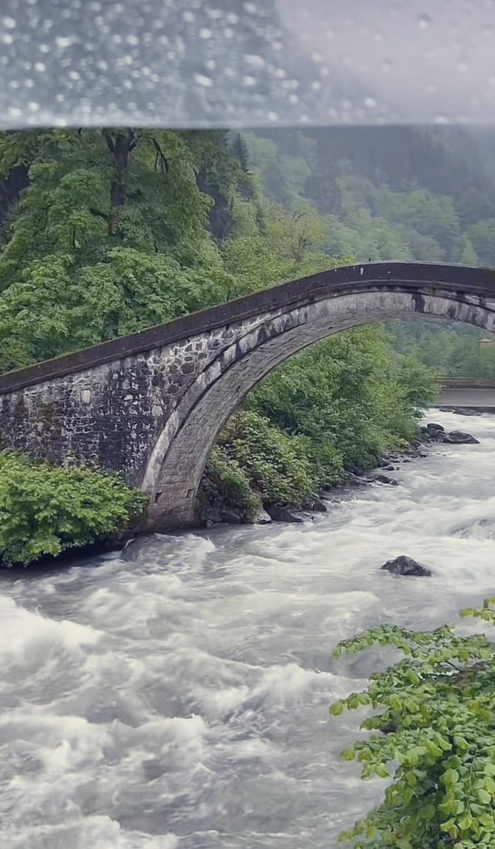 مساء اللطف والكثير من الرقه ♥️