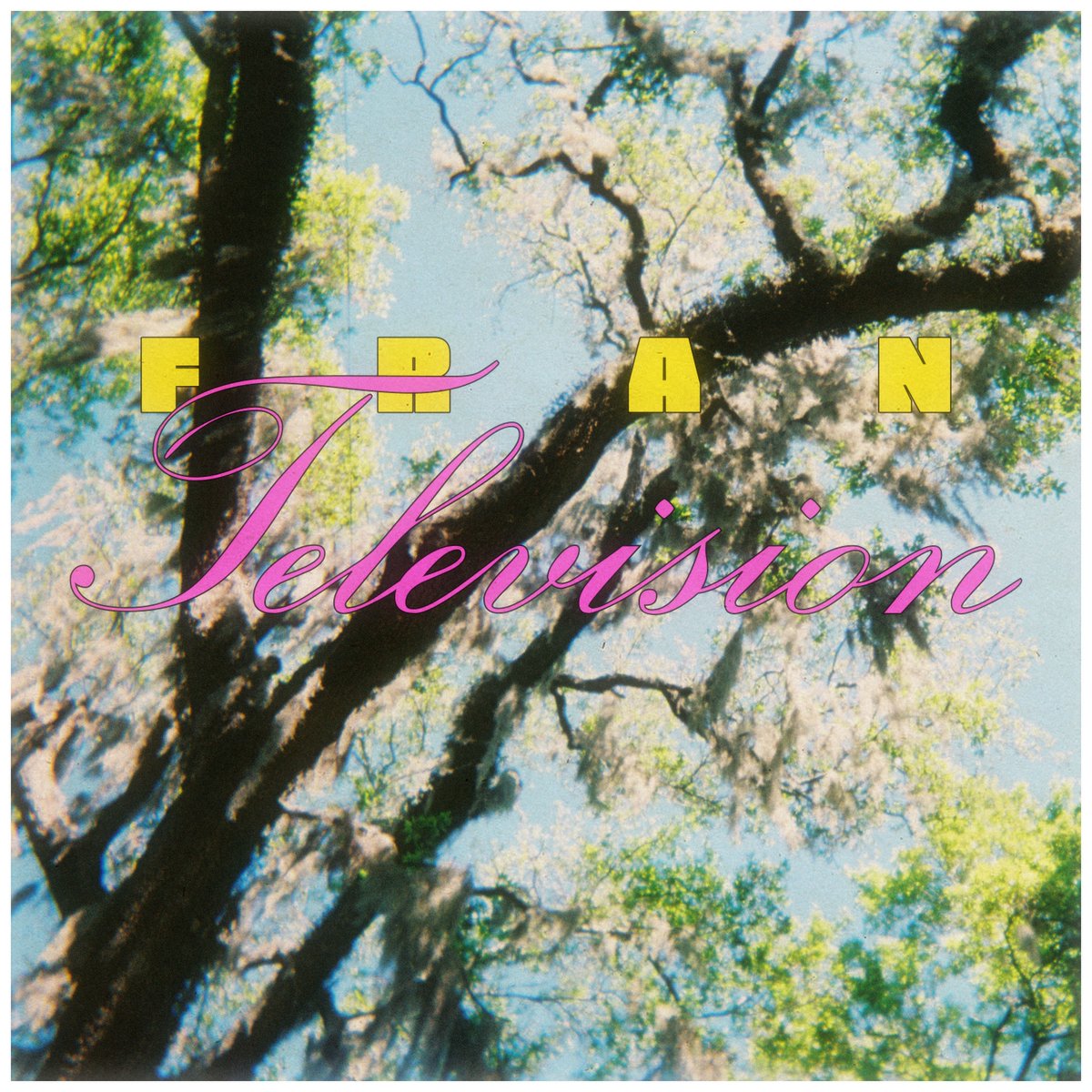 New song "Television" out today 🩵

ffm.to/frantelevision