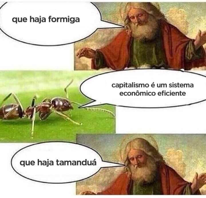 memexpropriados's tweet photo. Deus é mesmo perfeito https://t.co/k9Pzoms3Op