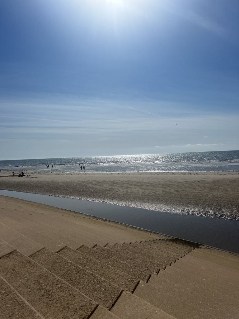 Lauren-Nicole Mayes tweet media