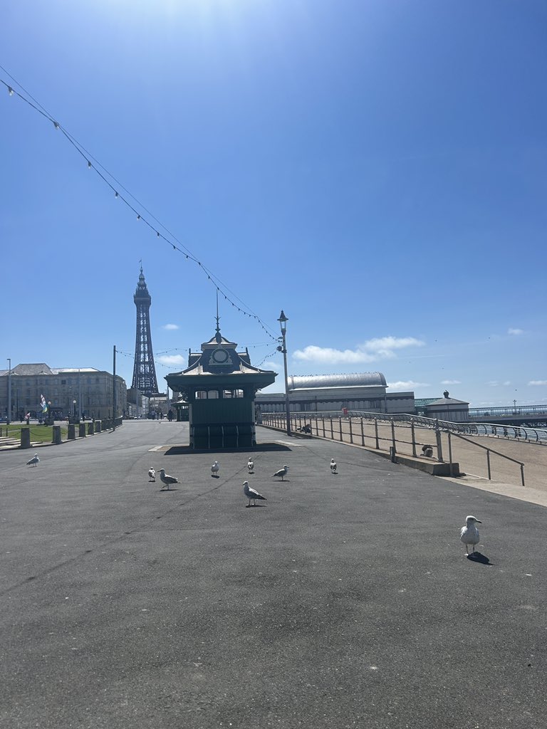 Lauren-Nicole Mayes tweet media