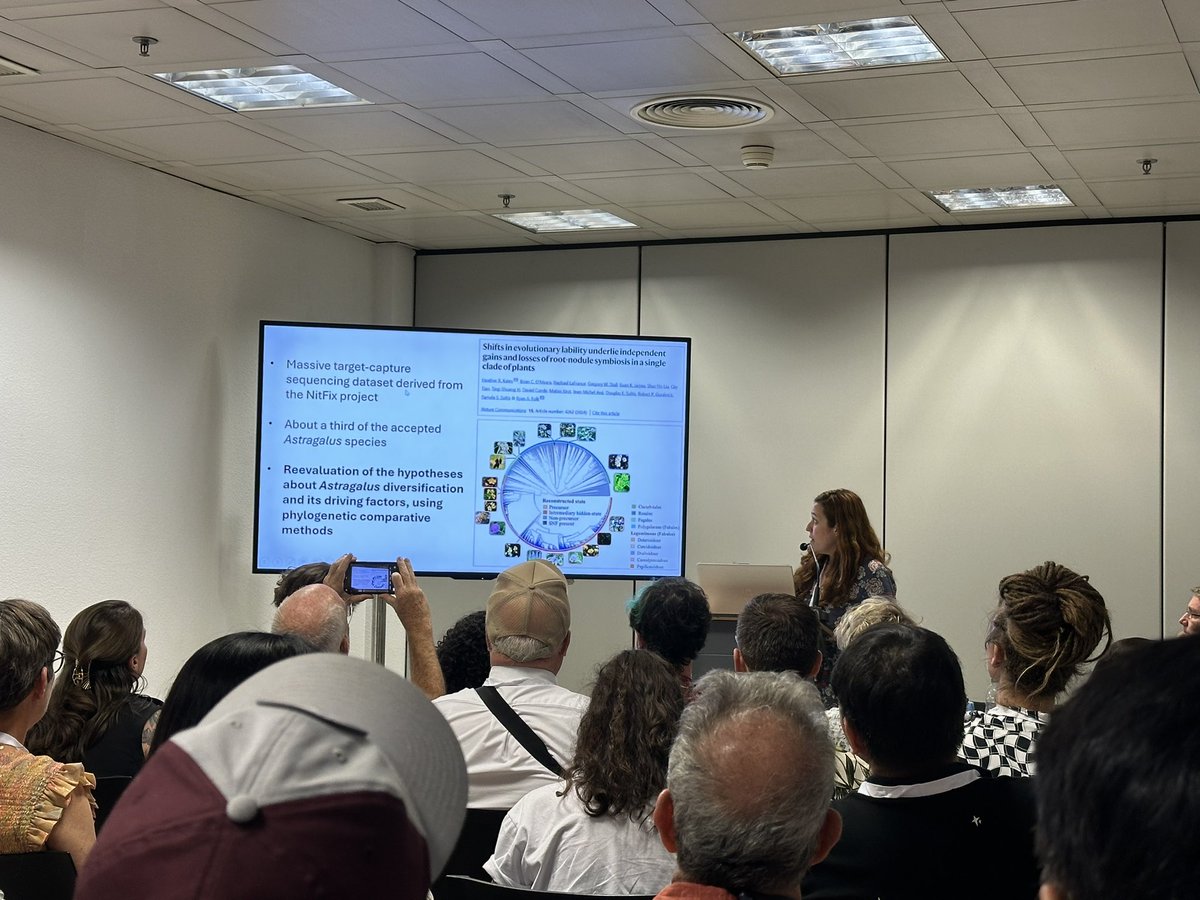 Wonderful talk about the diversification and biogeography of Astragalus using phylogenetic insight by @compositaecarol 👏👏 #IBC2024 #Madrid
