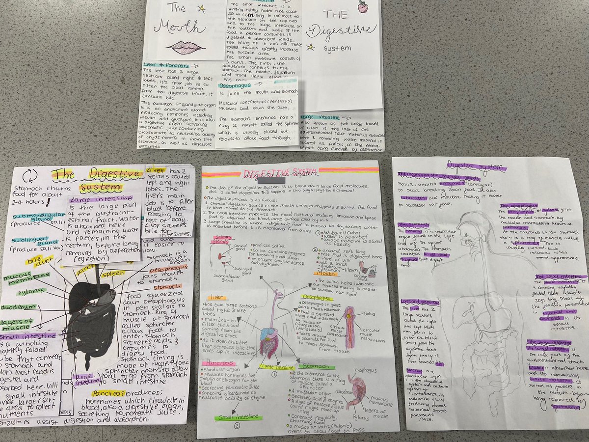 MissClarkBio's tweet image. school shots from my camera roll✌🏼