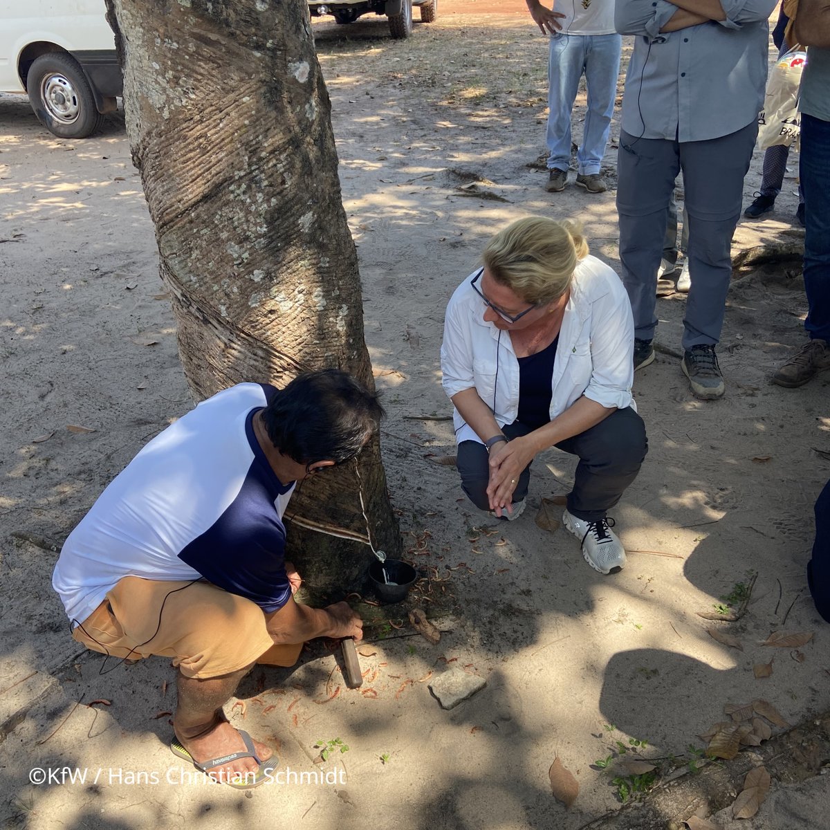 KfW's tweet photo. In #Santarém in #Amazonien eröffneten 🇩🇪 BMin @SvenjaSchulze68 + 🇧🇷 @MarinaSilva + 🇳🇴 @AnneBeathe_ ein #Ökozentrum, das von @KfW_FZ i.A. des @BMZ_Bund gefördert wird. Dies wird von lok. Kooperativen genutzt, um Waldressourcen nachhaltig zu nutzen.
#Waldschutz #Biodiversität https://t.co/6HUEFrjBdO