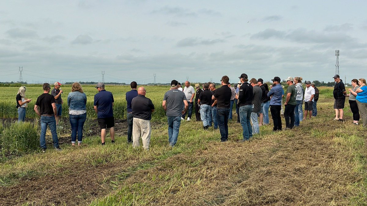 2020SeedLabs's tweet image. Field days are about learning from experts, seeing crops and catching up with industry friends and colleagues. @RutherfordFarms @RickRutherford1 @EmilyLaudin @Sarah2020labs #FieldDays #NeverStopGrowing #CdnAg