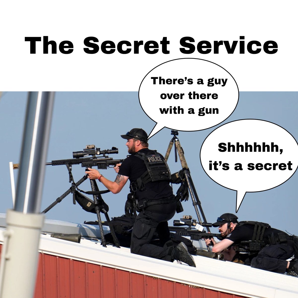 Richard Harambe (@doc_chimpanzee) on Twitter photo 