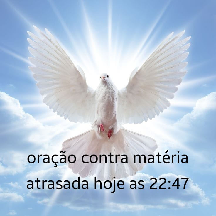 matheustudy's tweet image. quem ta comigo nessa luta?