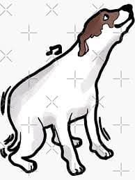 sol_ddog's tweet photo. Bullish Dancing https://t.co/prLTRDE25g
