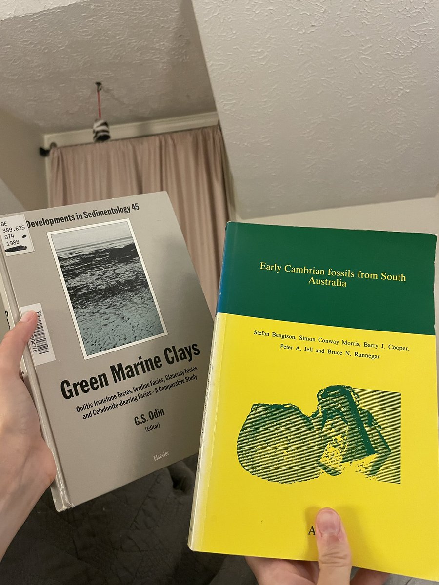 Amy Hagen tweet media