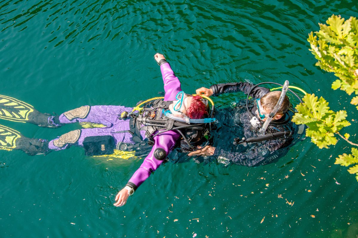 PADI Pros tweet media