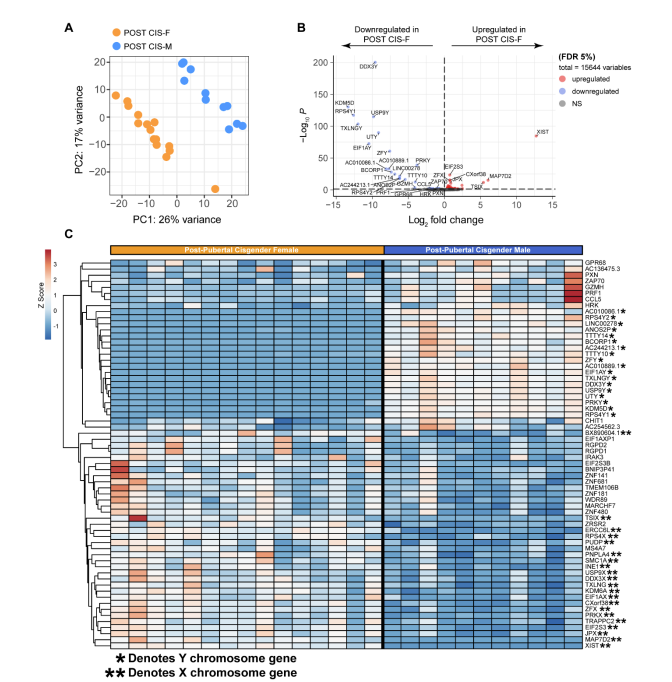 LabWaggoner's tweet photo. Sex hormones and chromosomes work in tandem to impact immune responses, with oestrogen only supporting B cell class-switching on an XX chromosomal background
https://t.co/XmPdwDD3n7 https://t.co/EXHmnbkRde