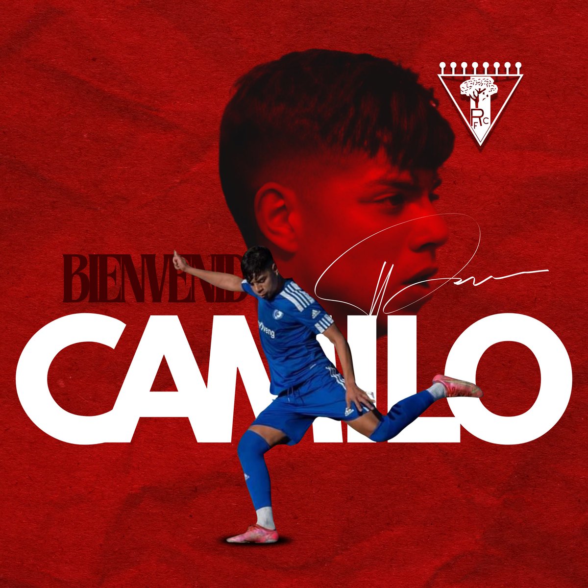 Robledo CF tweet media