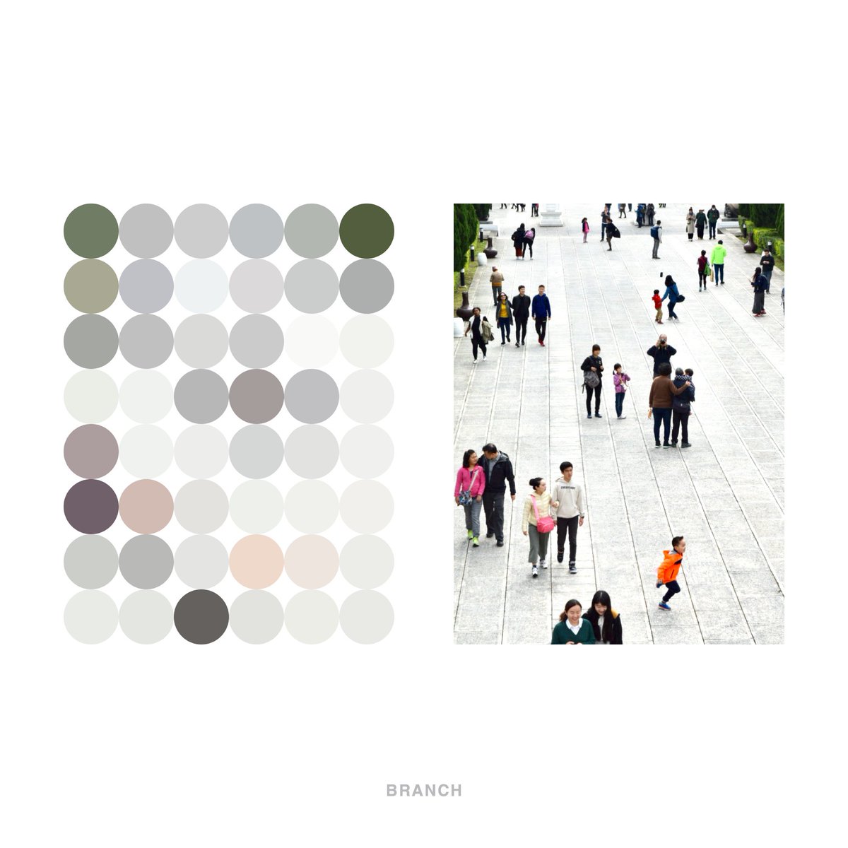 色に還す。
Turn into the color.

#BRANCH #objectiveeye #turnintothecolor #artandscience