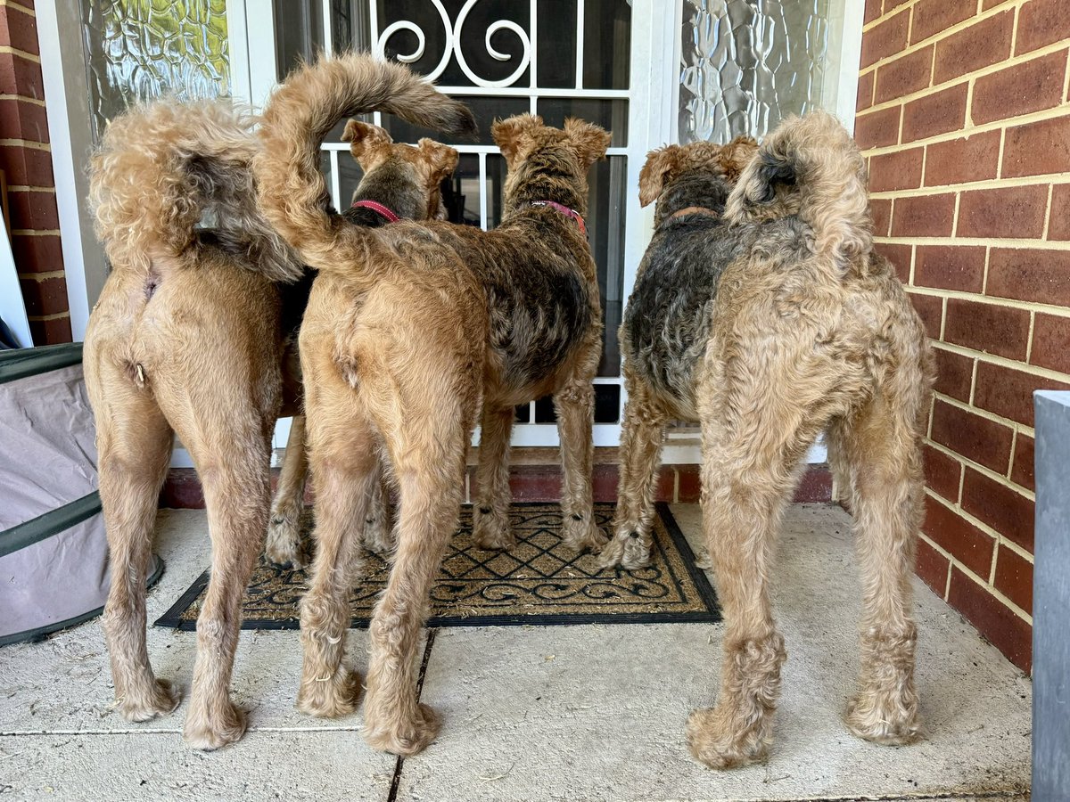 Rosemary Lynch tweet media