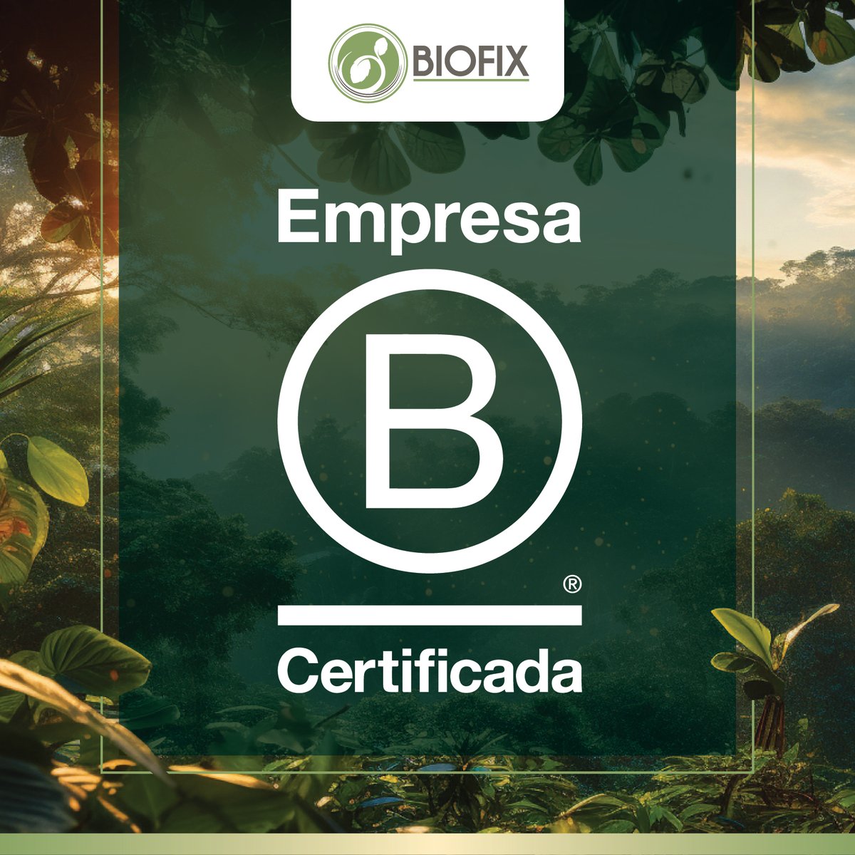 BIOFIX2's tweet image. Nos enorgullece anunciar que BIOFIX ha sido certificada como una empresa B Corporation (B Corp). Esta certificación refleja nuestro compromiso con los más altos estándares de desempeño social y ambiental, transparencia y responsabilidad.  . 🌱💚  #BCorp #BIOFIX #ImpactoPositivo