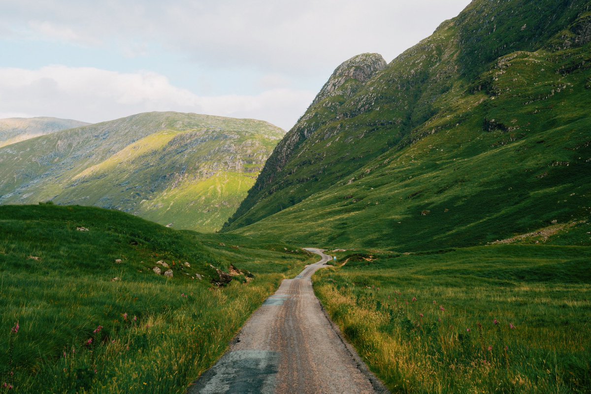 Daniel Casson tweet media