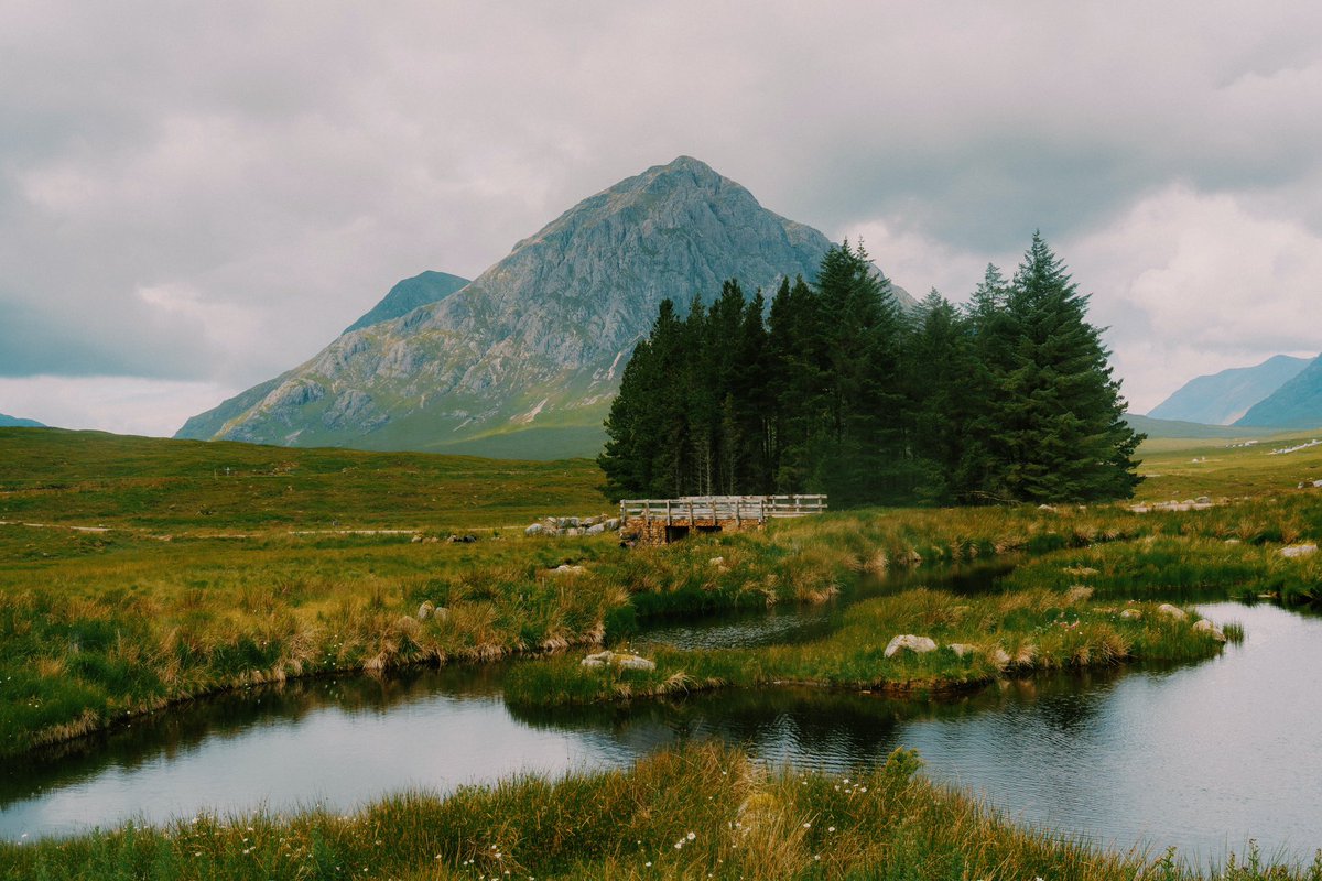 Daniel Casson tweet media