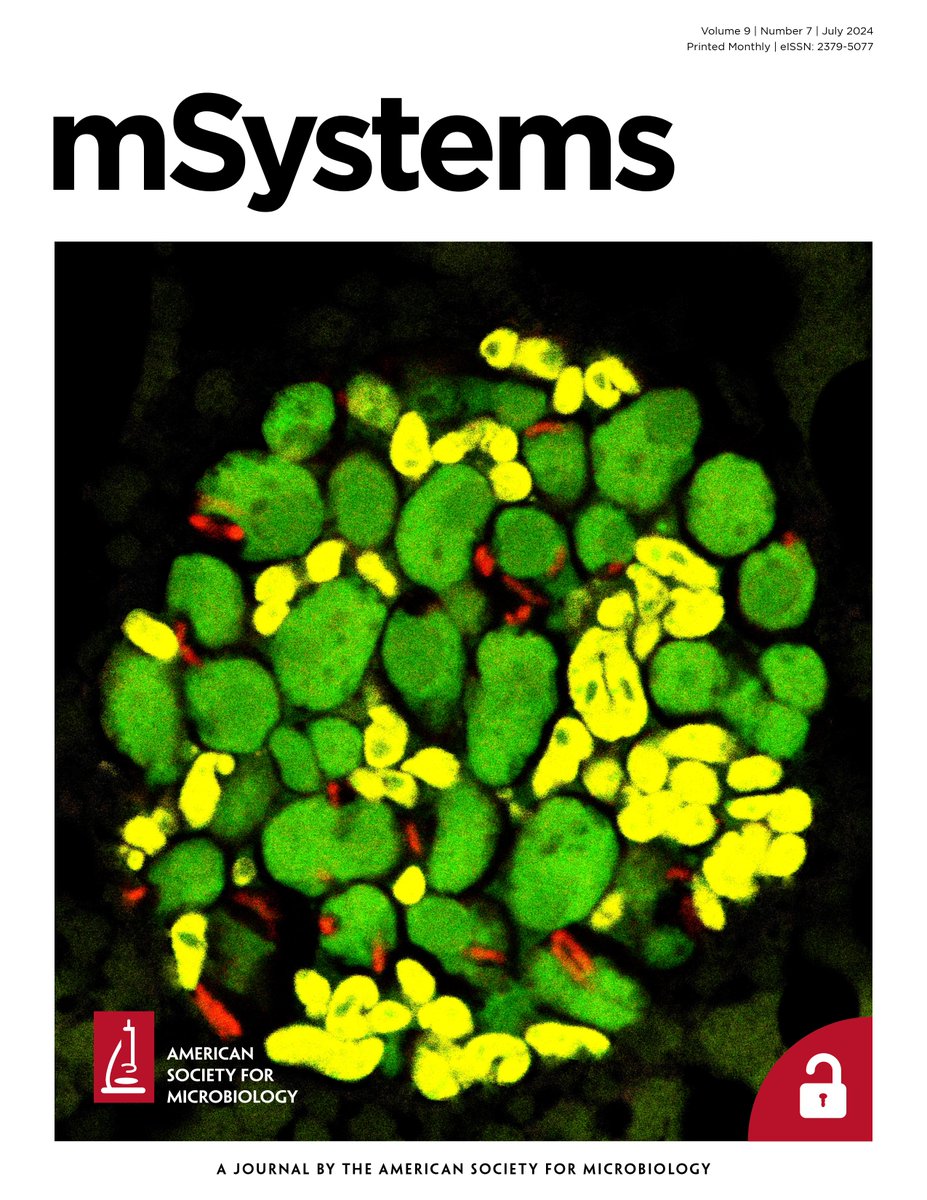 We are on #mSystems <a href="/ASMicrobiology/">ASM</a> cover! <a href="/AnnaMichalik17/">Anna Michalik</a>'s microphotograph shows a ball formed by specialized symbiotic bacteria within the oocyte of a planthopper. This is a stage in symbionts' transovarial transmission, dating back &gt;300 my.
Link to our article below!