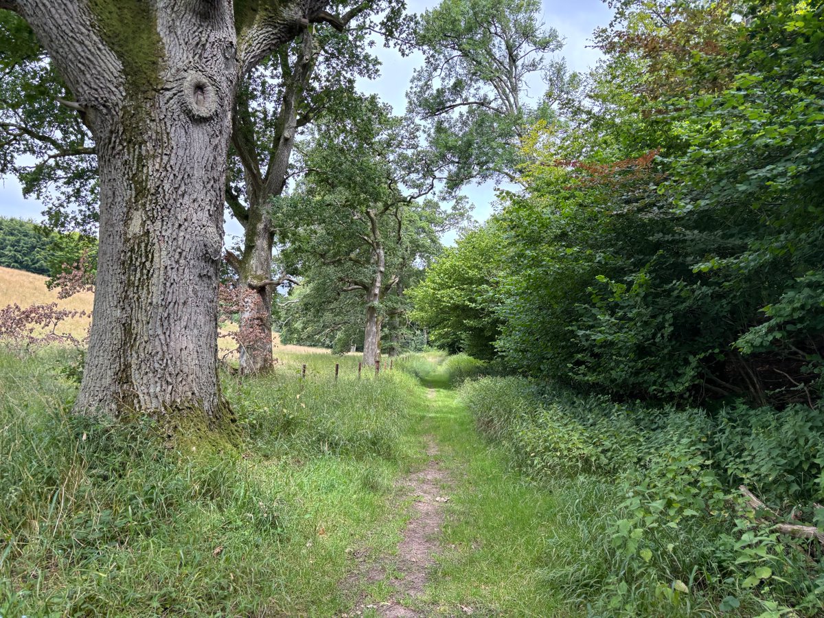 2DogsAwning's tweet photo. A cracking 17 mile walk today on Cranborne Chase #cranbornechase #cranbornechasewalks #walkleader https://t.co/unCOsUifjv