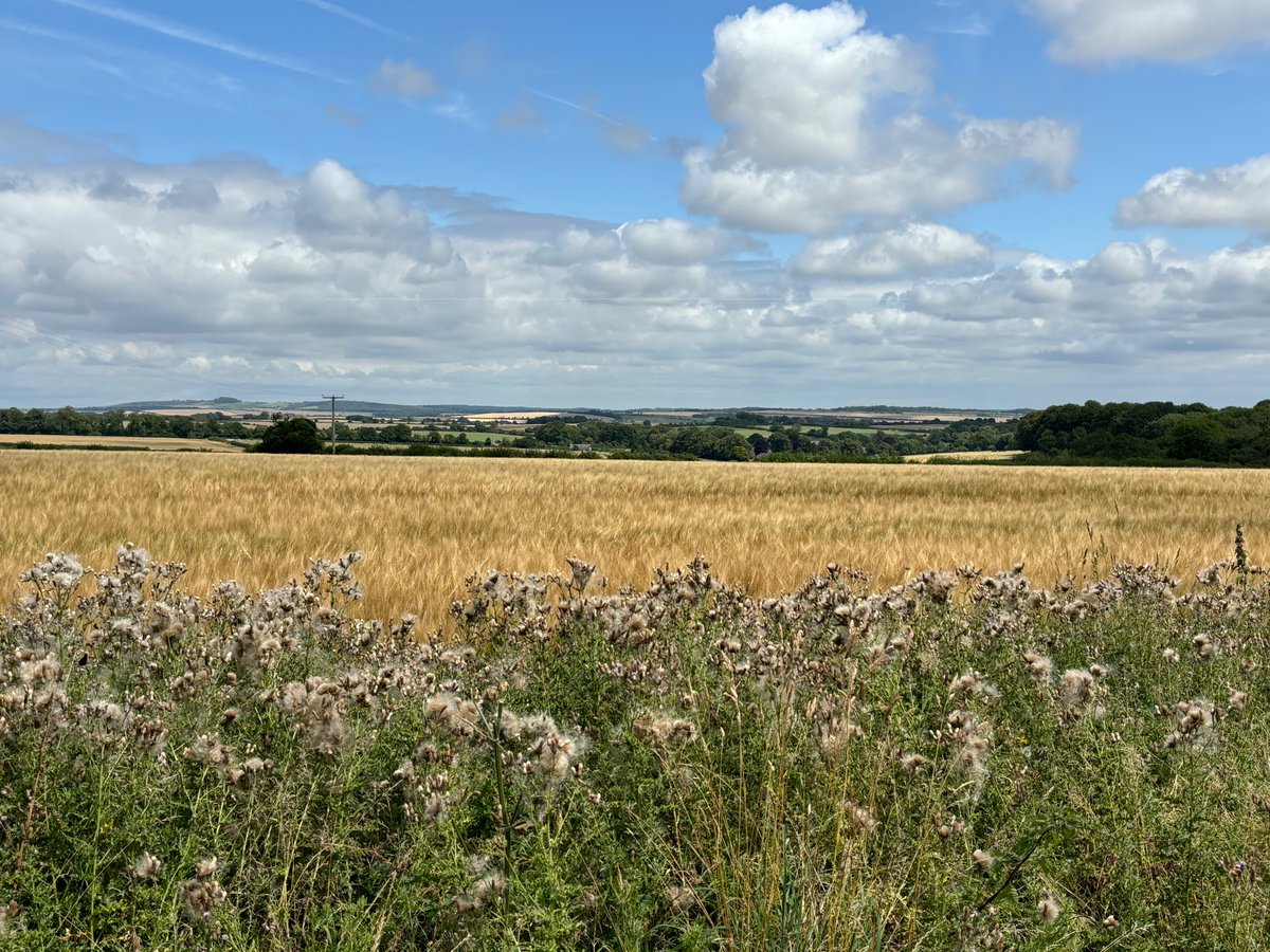 2DogsAwning's tweet photo. A cracking 17 mile walk today on Cranborne Chase #cranbornechase #cranbornechasewalks #walkleader https://t.co/unCOsUifjv