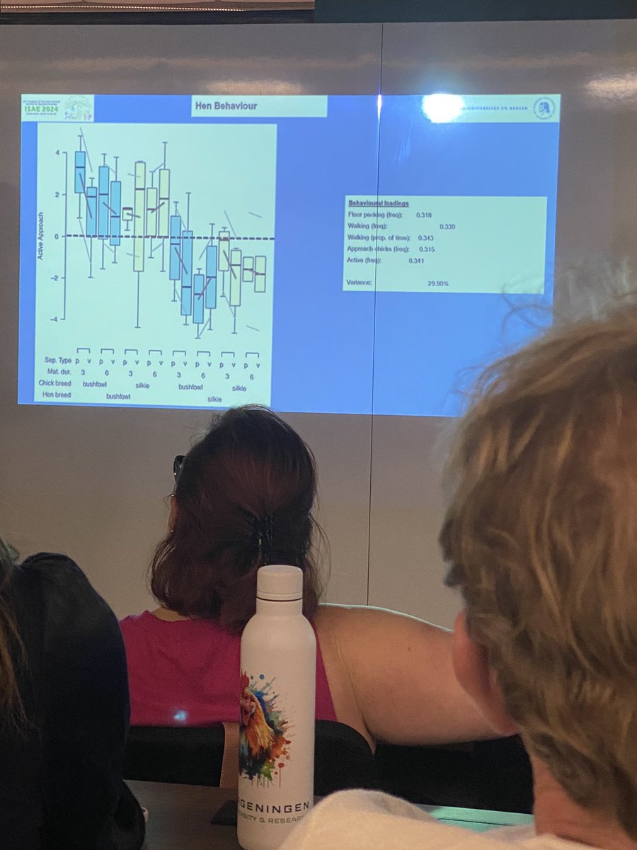 MariaRorvang's tweet photo. Stimulating, interesting and humorous talk by the one and only @os_iyas “Domestic chicken breeds are more important in maternal reactivity and chick behaviour than whether chicks were in- or cross-fostered” #isae2024
#maternalbehaviour #poultrybehaviour https://t.co/LlcgQ7OtU0