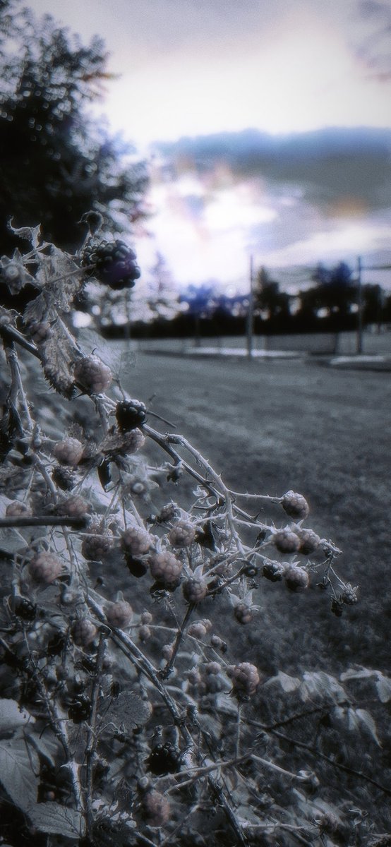 12am photos
#night #photo #shepdogshep #loveisland #LISA #March2Paliament #winmetawin #AndhraPradesh #FreenBecky excellent
Life beyond home....
#sfy #soyluna #karolsevilla #siemprefuiyo #ruggero #lascumbres #disney #desdehoy #disneyprincess