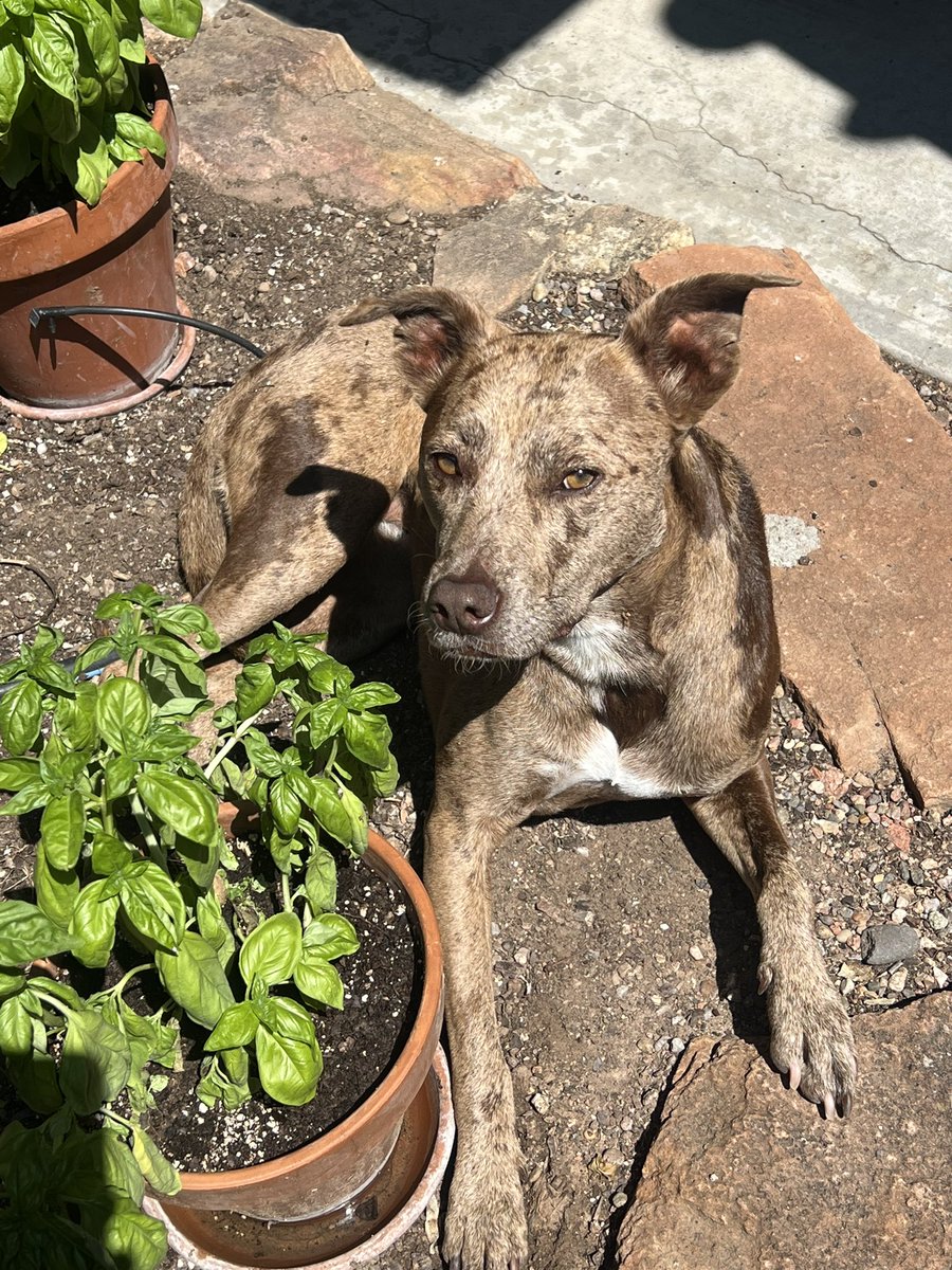 @drhonor.bsky.social tweet media