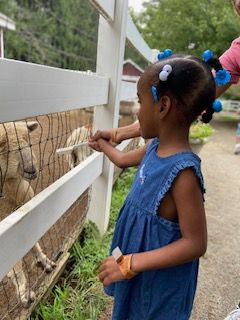 GramonFamily's tweet photo. 🚜🌾 YEE HAW! 🌾🚂 We're off to Brookhallow Farms for an unforgettable adventure! 🐰🥕 Our little explorers from PS to Grade 2 are gearing up for tractor rides, train adventures, and even feeding the animals! 🐮🌟 Stay tuned for all the fun updates! 📸🌿 #gramonfamily https://t.co/2PdZafyUuQ