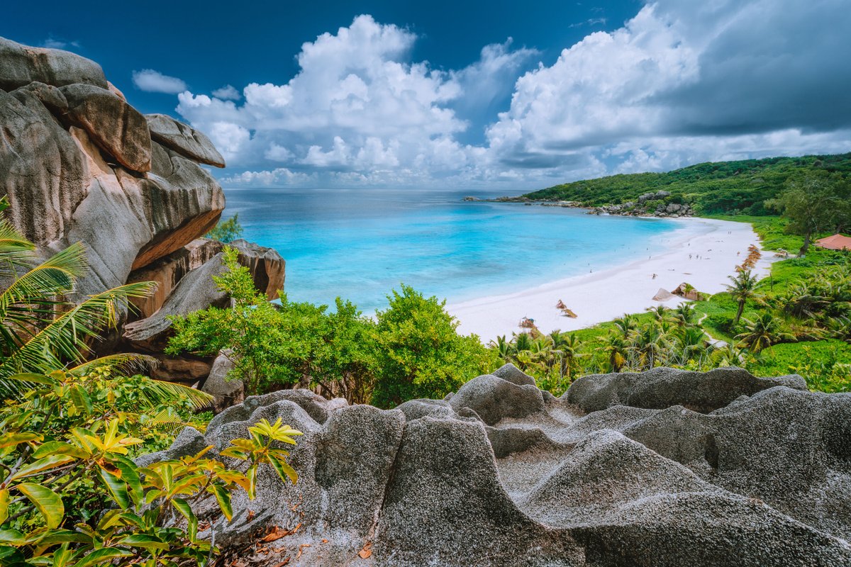 Passport_Now's tweet photo. 🌍 Dreaming of Seychelles? Download the Passport Now App to get everything you need for your U.S. passport! Fun fact: Seychelles is home to the world’s largest population of giant Aldabra tortoises. #TravelReady #PassportNow https://t.co/zi2KE9KDIW