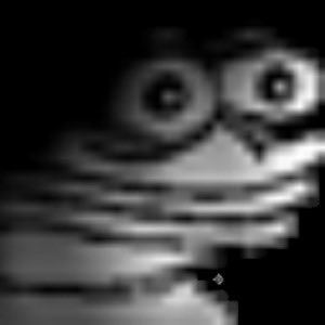 _CuteDog_'s tweet photo. My roommate:  haven’t you been playing POE for 11 years?

Me: ya

Roommate: why do you still need to practice?

Me: https://t.co/HdJM0t3NTo