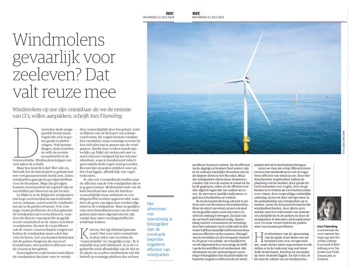 Inez Flameling (@iflameling) on Twitter photo 