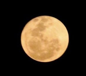 Last night the full moon was incredibly romantic and poetic! 
#astrophotography  by me

Ontem à noite a lua cheia foi incrivelmente romântica e poética!
#luacheia 
#photography  #astronomy #moon #luna #99% moon #astronomy #cosmos <a href="/StormHour/">#StormHour</a> <a href="/ThePhotoHour/">#ThePhotoHour</a>