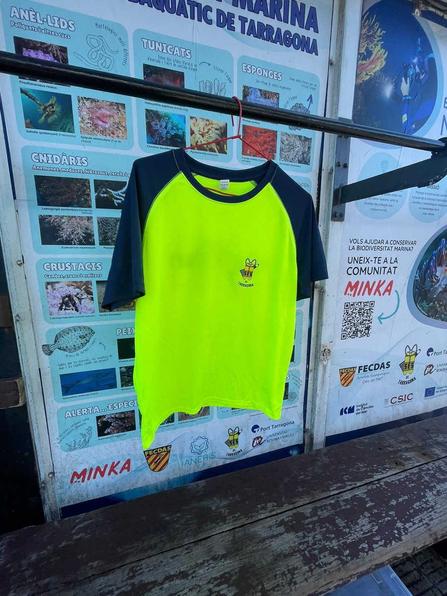 SESTarragona's tweet photo. Us agrada la samarreta del SES? 😎 Vine al Parc Subaquàtic i compra la teva! 👌 Talles: S, M, L, XL i XXL. Preu: 15 €
•••••
 ¿Os gusta la camiseta del SES? 😎 ¡Ven al Parque Subacuático y compra la tuya! 👌 Tallas: S, M, L, XL y XXL.  Precio: 15 € https://t.co/y19BV4La0f