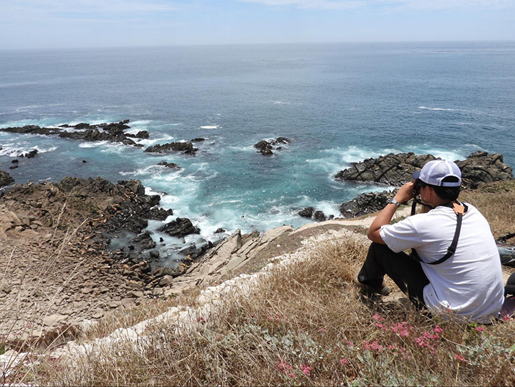 NOAA Fisheries AK tweet media