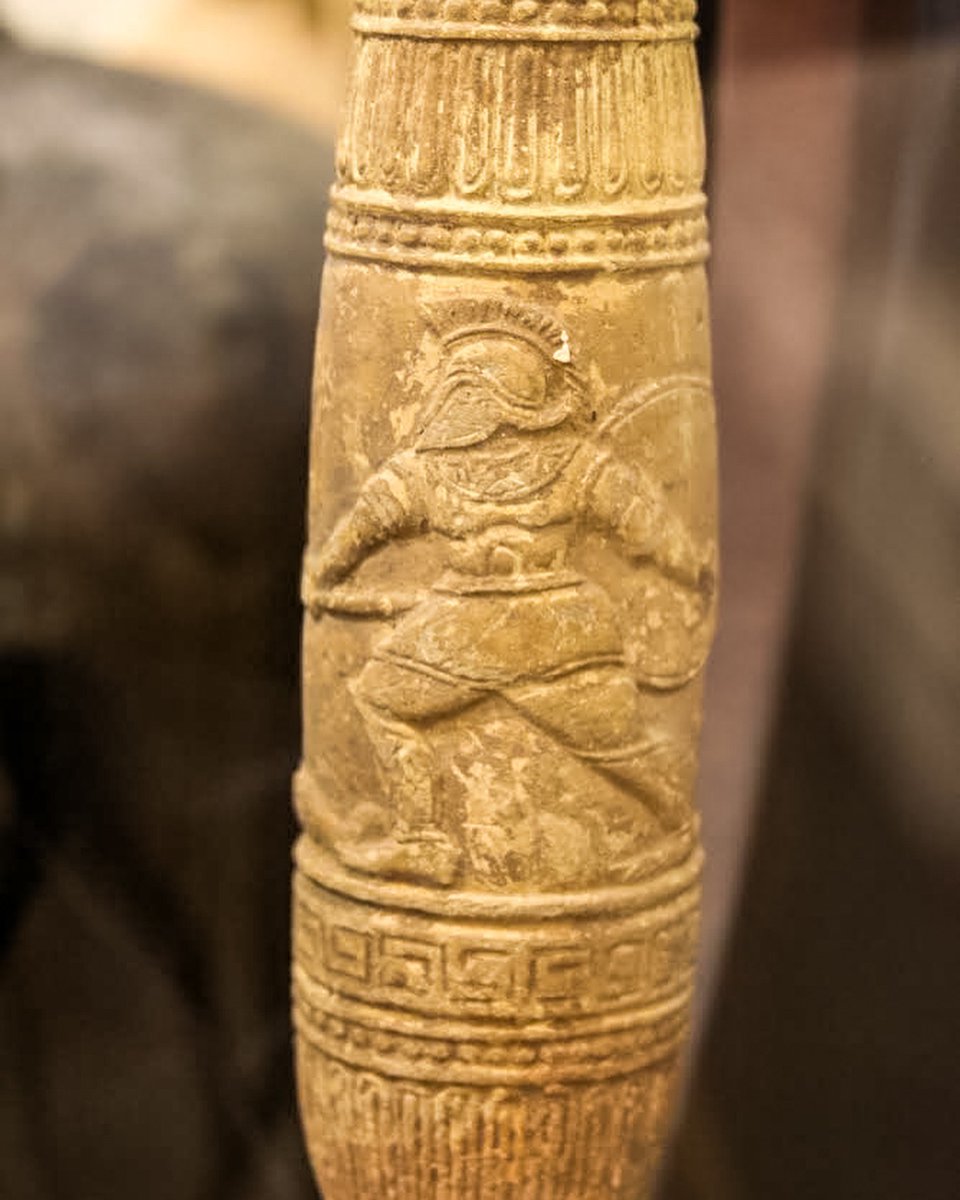 Mayborn Museum tweet media