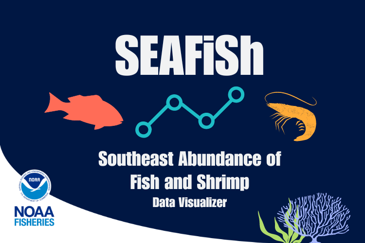 NOAAFisheriesSE's tweet photo. Want data on demand? Explore SEAFiSh to see data for 40+ species in the Gulf of Mexico and U.S. South Atlantic, including reef fish, mackerel, sharks, shrimp, and more! 🐟

https://t.co/pVJDCBIJsv 

#NOAASoutheastScience https://t.co/UaZpmbEjg4