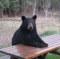 This is the ticket women really want in 2024