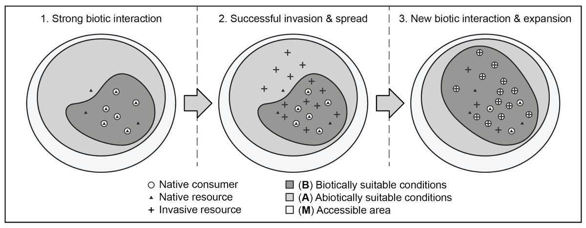 Fer Machado Stredel tweet media