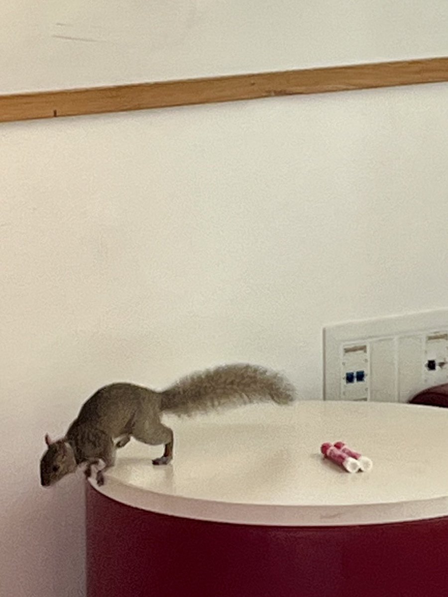 Justin Solomon tweet media