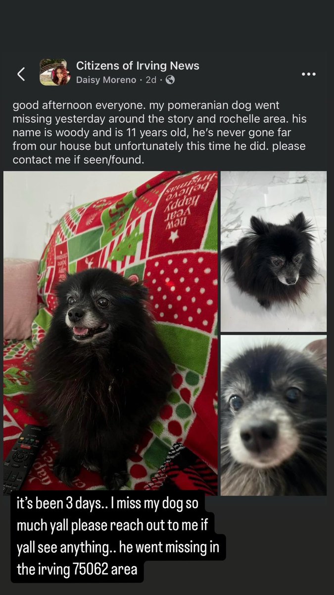 daisymorenoxo's tweet photo. can y’all please share. I miss my dog so much. https://t.co/JG8d2PhzSz