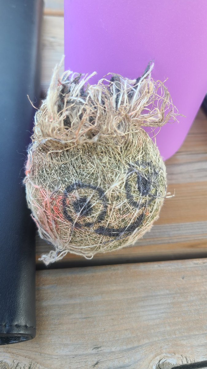 WSC Baseball tweet media