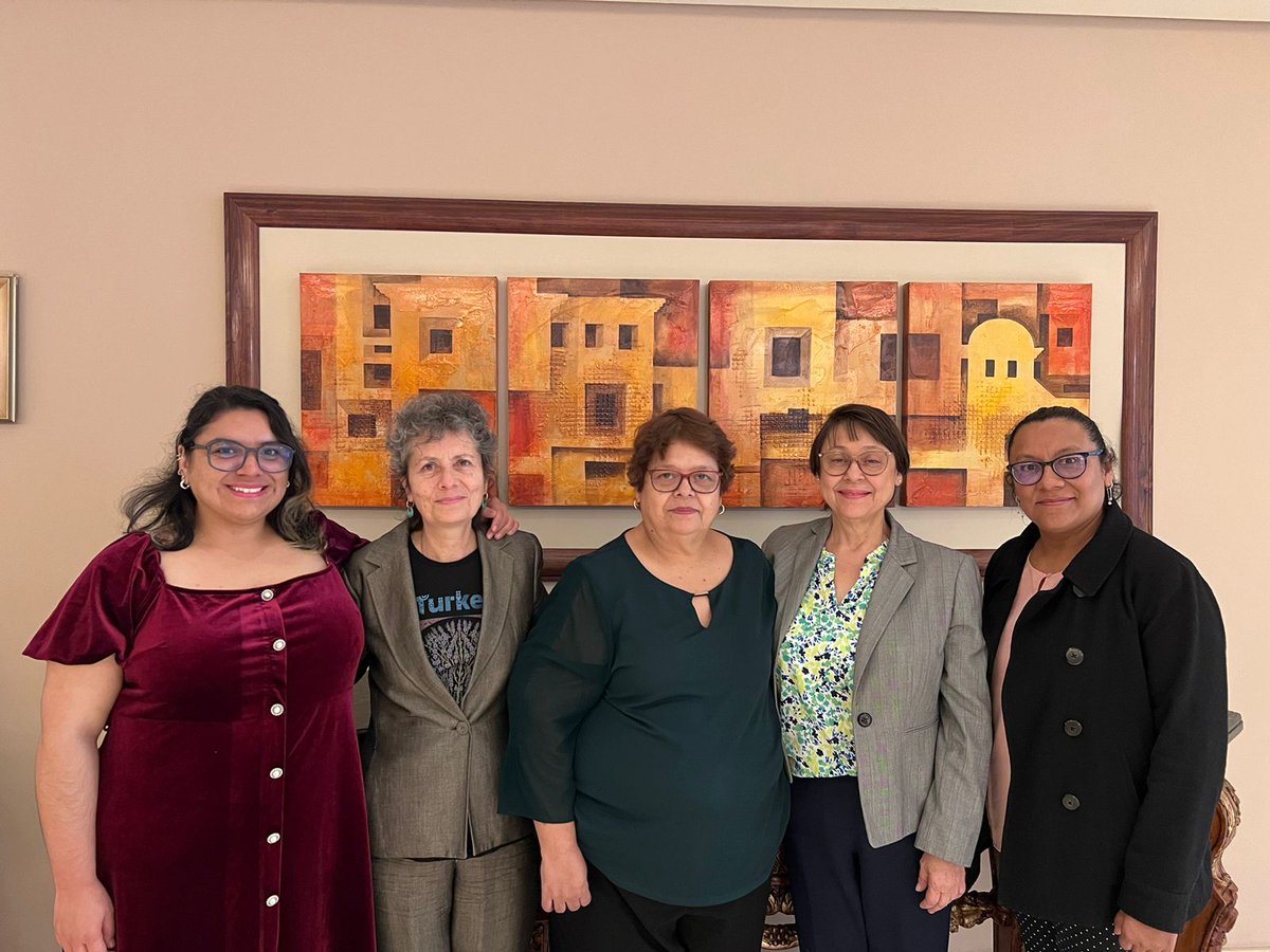 equalitynow's tweet photo. Legal advisor for Equality Now #LAC, @AnaElenaObando, highlighted the urgency of reforming the Guatemalan penal code at the @CIDH meeting with civil society during their visit to #Guatemala. Currently, the crime of #rape is conditioned on the existence of physical or psychological violence, which hinders #AccessToJustice for survivors. It is urgent for the Guatemalan State to adopt a definition of sexual crimes based on consent, especially protecting girls, adolescents, and women with disabilities. #CIDHEnGuatemala #SexualViolence #HumanRights