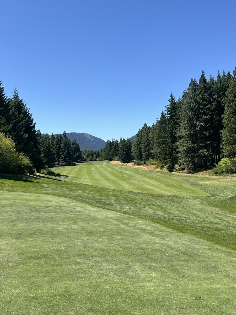 trey wingo tweet media