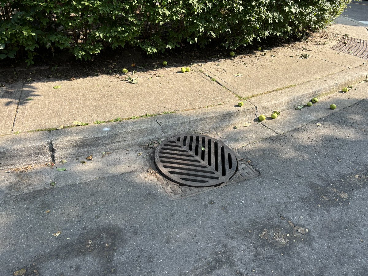 HoldFastLibrary's tweet photo. @311Toronto this has been off all day. Hope someone can put it back on. Sandstone and Torbrick corner. https://t.co/1dHHXiVAfs