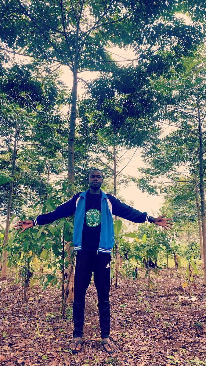 256Solomon's tweet photo. One Tree At a Time. 
The lives we chose to be. We get intimidated, we get criticised for, at times we get arrested for (Action demanding activists) 
All is done to let us down but we pick up ourselves and try again. 
#trees #climateaction #treeplanters #activism #Environment https://t.co/G32Orzp07Y