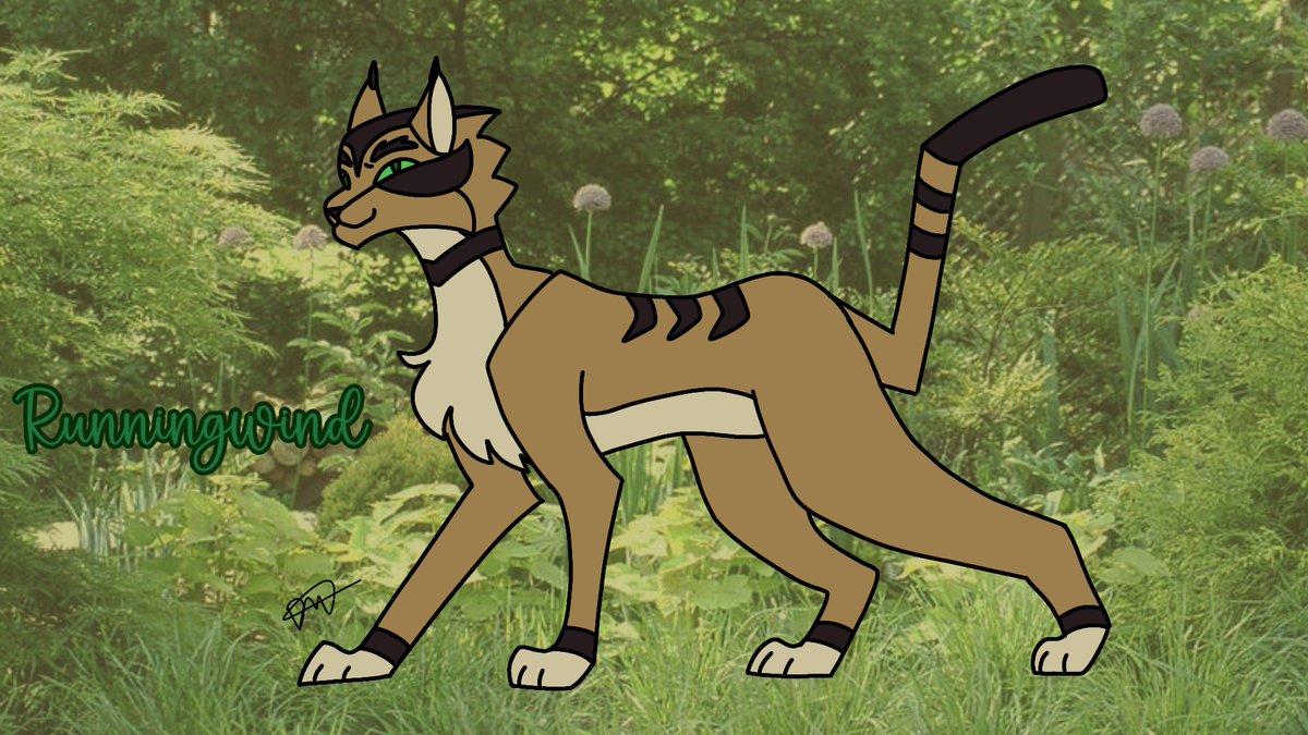 DoeGoBoom's tweet photo. AS THE #1 RUNNINGWIND FAN I HAD TO DRAW HIM FOR #wcotd
#warriorcats #warriorsfanart #Warriors https://t.co/BQeFXKB2qK