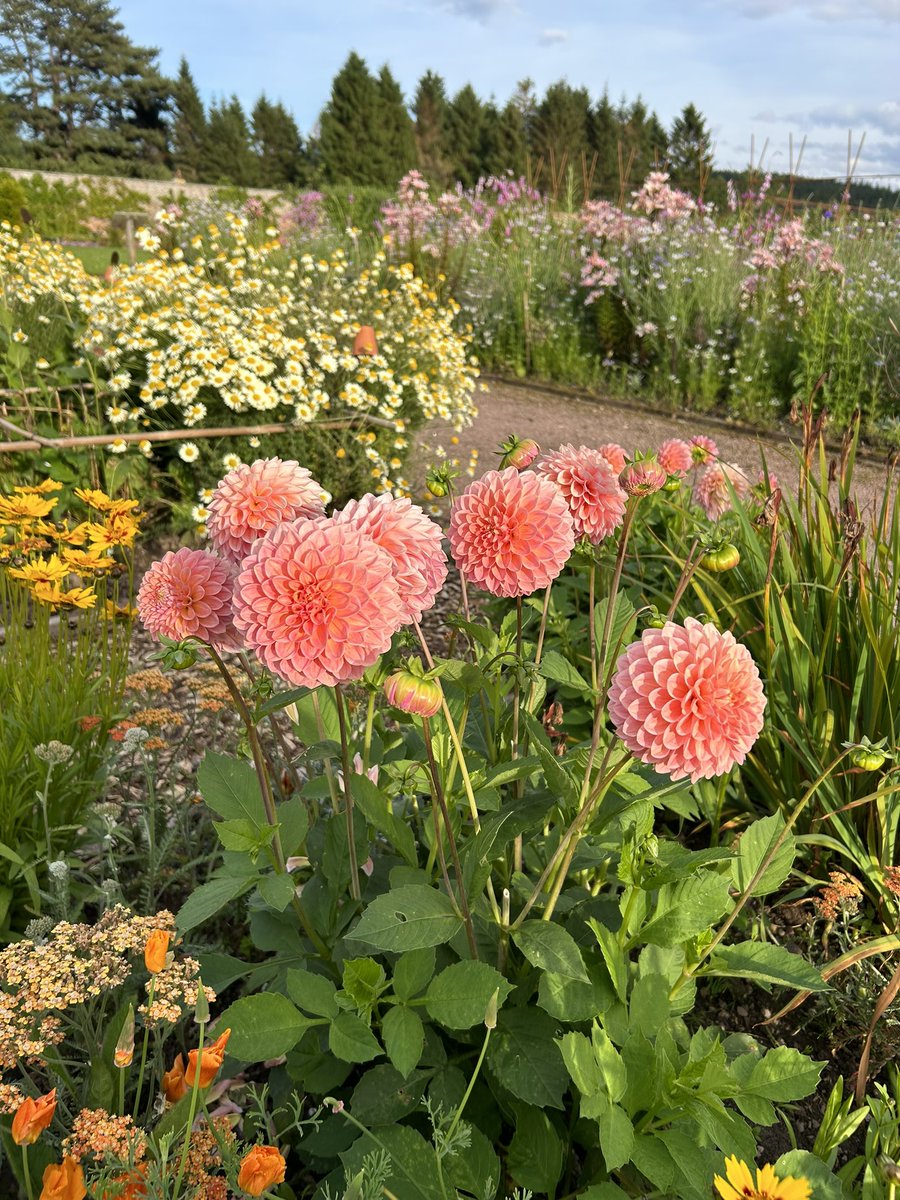 Zara Gordon Lennox tweet media